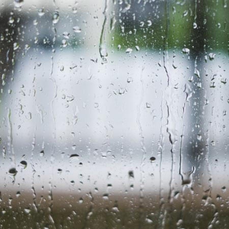 写真はイメージです