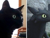 黒猫とナイト・フューリーを比べてみた。ドラゴンになりたかったかもしれない猫たち総集編