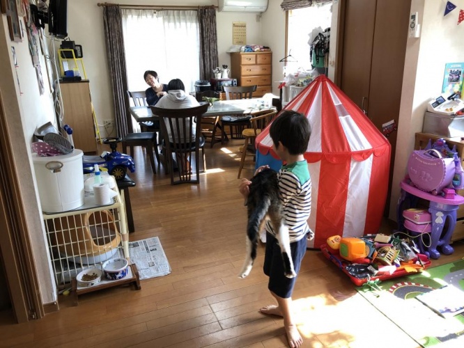 猫も含めて賑やかな大家族だ