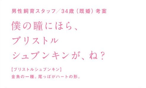告白ワード
