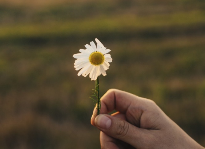 iStock_000057170314_Large