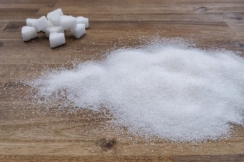 砂糖の驚くべき依存性がブタを対象とした実験で明らかに（デンマーク研究）