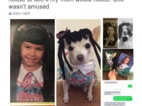 愛犬家の女性による家族の写真へのいたずらが手が込み過ぎww