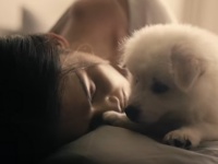 思わずホロリとしてしまう、ワンコと（人間の）ママたちのCM