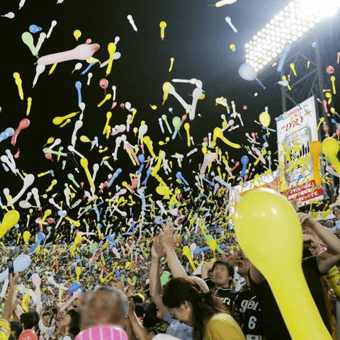 おかしくて愛すべき甲子園の阪神ファンたち