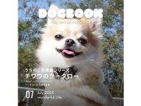 アッカ・コミュニケーションズ合同会社のプレスリリース画像
