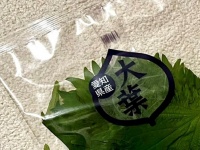 ネットスーパーで買い物をしたら〝まさかの姿〟で大葉到着　目を疑う梱包に「ジーンとしちゃう」の声
