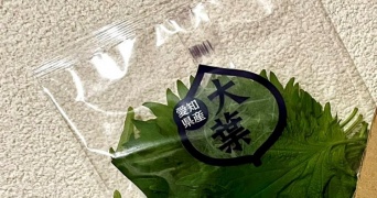 ネットスーパーで買い物をしたら〝まさかの姿〟で大葉到着　目を疑う梱包に「ジーンとしちゃう」の声
