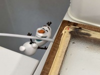 画像提供：Anne（＠ann_e_fa）さん、再掲