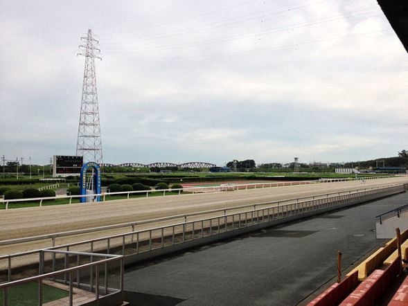 笠松競馬場直線コース（Unmaokurさん撮影、Wikimedia Commonsより）