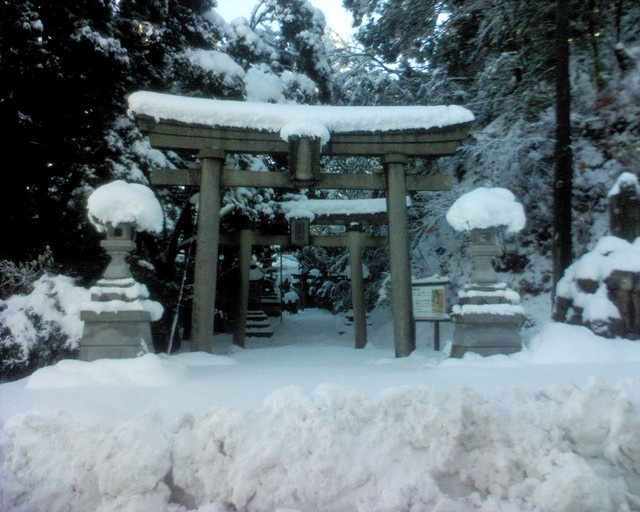 雪-神社