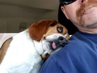 安楽死寸前で男性に救助された犬、全身全霊で感謝の気持ちを表現（アメリカ）