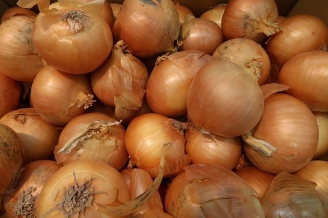 画像はイメージ