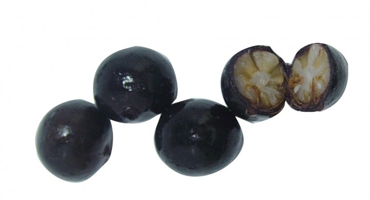 株式会社アスラポート・ダイニングのプレスリリース画像