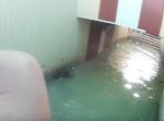ボートにスケートまで！　ロシアの浸水して使えなくなった地下道を行く。