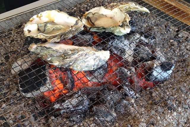 Oyster BBQ at Matsushima, Miyagi