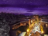 株式会社星野リゾートのプレスリリース画像