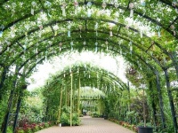 穴場スポットがいっぱい！　“お疲れ女子”が夏の横浜で癒やされてきた