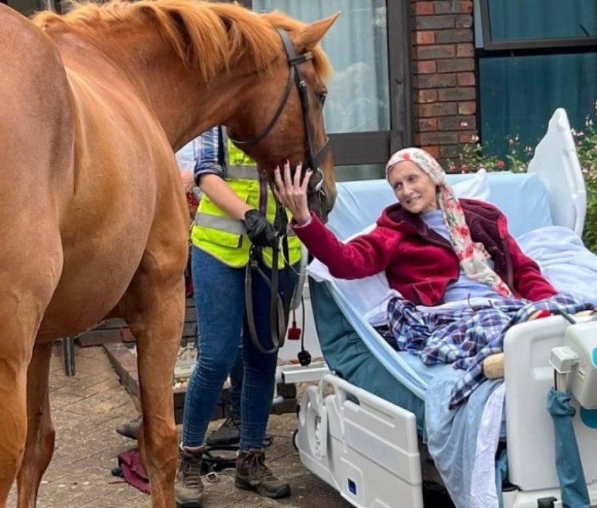 最期に愛馬に会いたい。ホスピスでその願いを叶えた女性