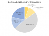 物価が上がっても増えない賞与……。20代に聞いた、夏のボーナスに関する調査