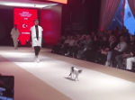 ファッションショーに猫が乱入！ホントに“キャットウォーク”になっちゃった！