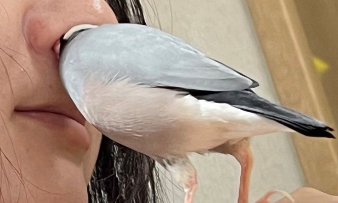 飼い主の〝穴〟に頭ごとズボッ　衝撃的な光景に8.3万人爆笑「お茶フイタ」「入りたくなるよね」