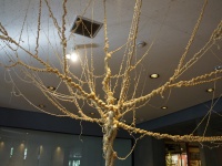 前回の「大地の芸術祭」に出展された作品（Kentaro Ohnoさん撮影、Flickrより）