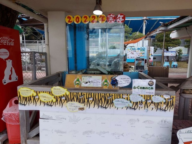 水族館のエントランスで展示（画像は桂浜水族館より）