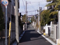 画像はイメージです（ume-yさん撮影、Flickrより）