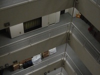画像はイメージです（shibainuさん撮影、Flickrより）
