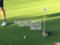 このホールには絶対入れさせない。ゴルフ場のグリーンカップを守る最強の番猫現る