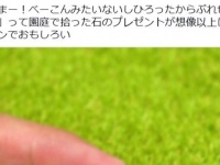「これはベーコン」「思った以上にベーコン」　5歳男児が見つけた〝ベーコンみたいな石〟に12万人大興奮