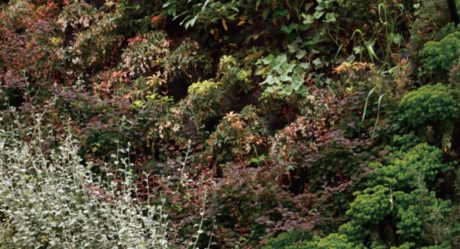 株式会社グッドコムアセットのプレスリリース画像