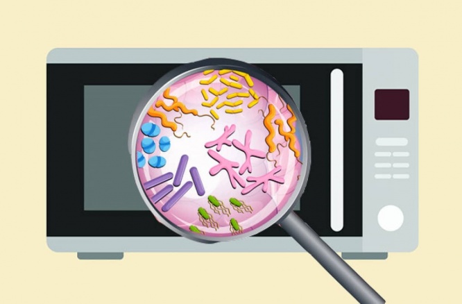 電子レンジの中は細菌がいっぱい。過酷な環境でも繁殖する「極限環境微生物」の宝庫だった