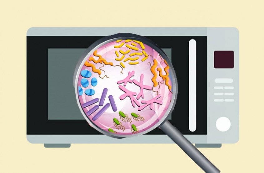 電子レンジの中は細菌がいっぱい。過酷な環境でも繁殖する「極限環境微生物」の宝庫だった