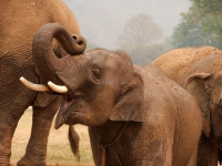 画像はイメージです（Christian Haugenさん撮影、Flickrより）