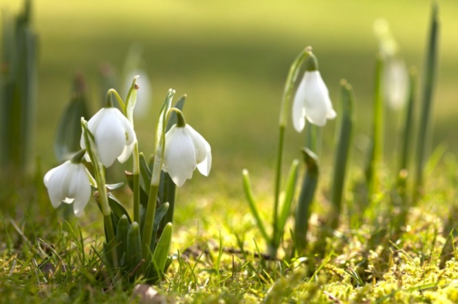 iStock_000015409429_Small