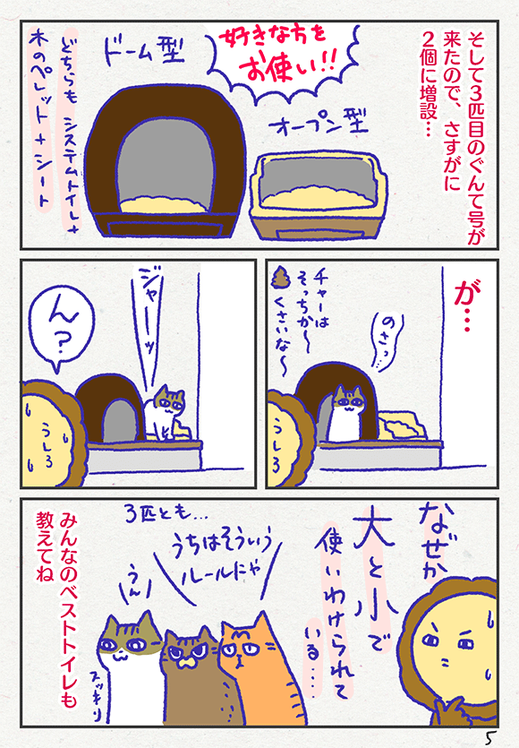 ib3005