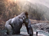 地球上に存在するすべての動物たちが巨大化したら世界はどう変わるのだろう？大きな動物とちっぽけな人間のシュールな構図