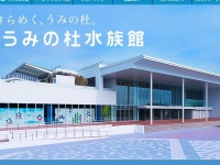 画像は「仙台うみの杜水族館」ホームページより