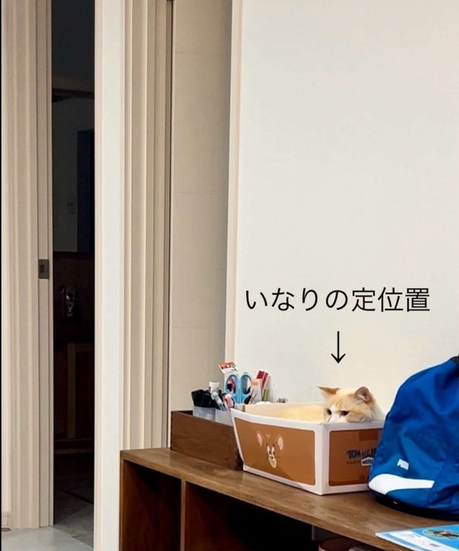 犯人はキミか！