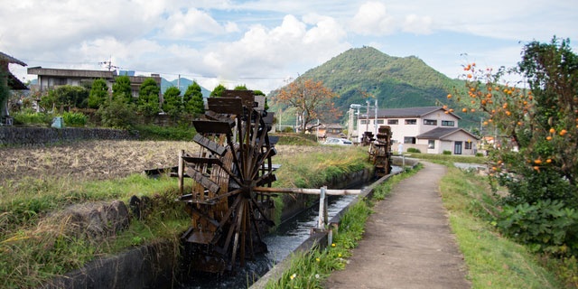 「Doctors Me（ドクターズミー）」コラム画像