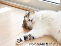 癒されますよね