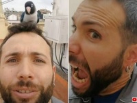 「おいで、迷子さん！」屋上で見つけたインコを呼んでみたら、突然頭に乗ってきた。意外と狂暴な鳥だった？