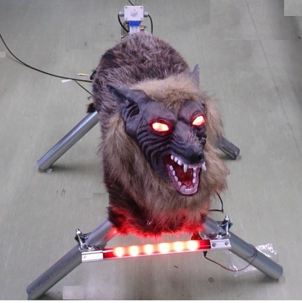 「スーパーモンスターウルフ」は見るからにオオカミだ（画像提供：太田精器）