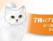 【SNS騒然】キャットフード の箱に〝謎ギミック〟　ひたすら集める愛猫家も...ネスレ日本「とても嬉しいです」