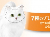 【SNS騒然】キャットフード の箱に〝謎ギミック〟　ひたすら集める愛猫家も...ネスレ日本「とても嬉しいです」
