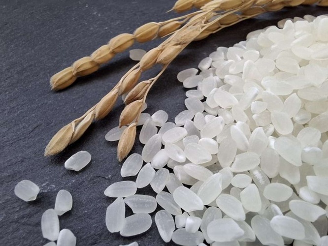 そっくり（画像はPhotoAC）