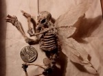 ロンドンの孤児院地下から「妖精の亡骸」見つかる！？　針で留められたそれは…