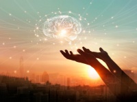人工的に作られたヒトの大脳で神経活動が確認される（日本研究）